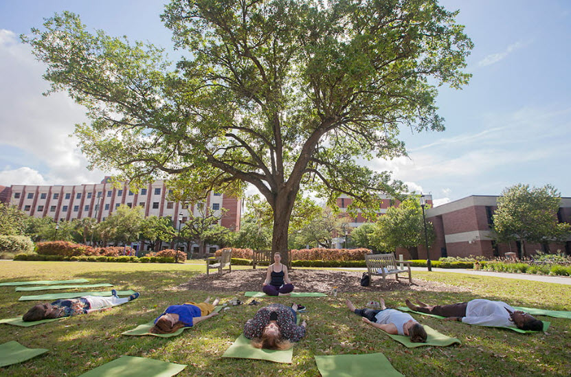 MUSC Arboretum, United States